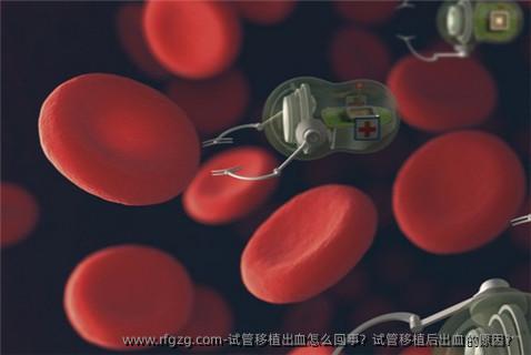 试管移植出血怎么回事？试管移植后出血的原因？ 