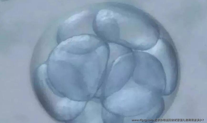 北京协和医院做代孕费用需要多少？