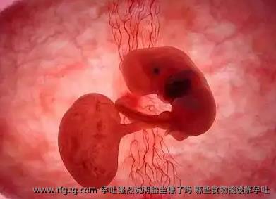孕吐强烈说明胎坐稳了吗 哪些食物能缓解孕吐
