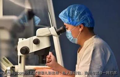 河北代孕新选择：私人医院包，费用与流程一网打尽