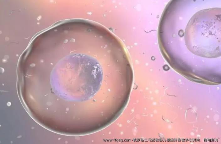 俄罗斯三代代孕基因筛查要多长时间，费用贵吗
