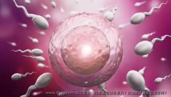 成功生育！玛祖医生排名第几？找她做试管成功率咋样？