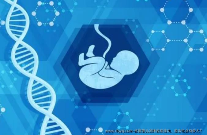 试管婴儿怎样容易成功，成功机会有多大？