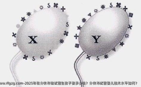 2025年在介休市做试管生孩子要多少钱？介休市代孕技术水平如何？