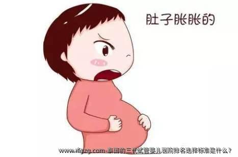 泰国的三代代孕医院排名选择标准是什么？