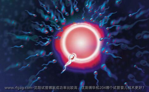沈阳试管哪家成功率比较高，沈阳菁华和204哪个代孕技术更好？