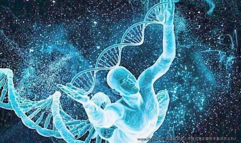 泰国试管婴儿移植过程中囊胚不着床怎么办？
