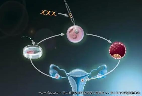 唐山妇幼保健院代孕费用多少？唐山妇幼试管费用明细