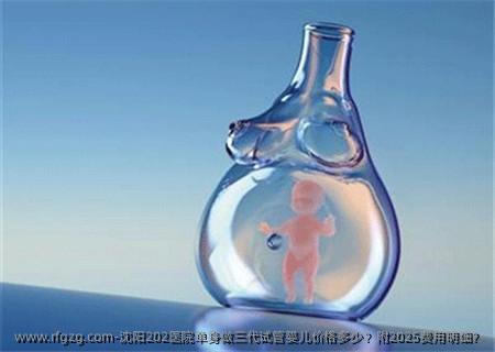 沈阳202医院单身做三代试管婴儿价格多少？附2025费用明细？