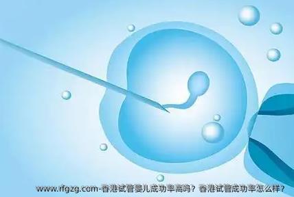 香港代孕成功率高吗？香港试管成功率怎么样？