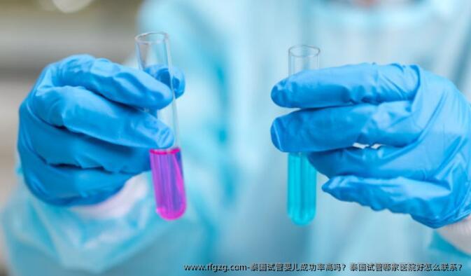 泰国代孕成功率高吗？泰国试管哪家医院好怎么联系？