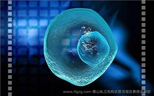 佛山私立机构试管流程及费用全解析