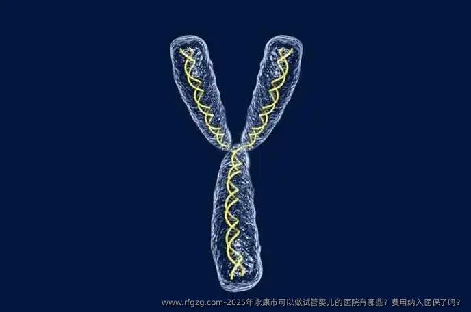 2025年永康市可以做代孕的医院有哪些？费用纳入医保了吗？