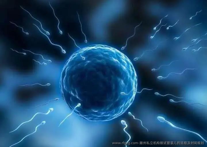 潮州私立机构做代孕的流程及时间规划