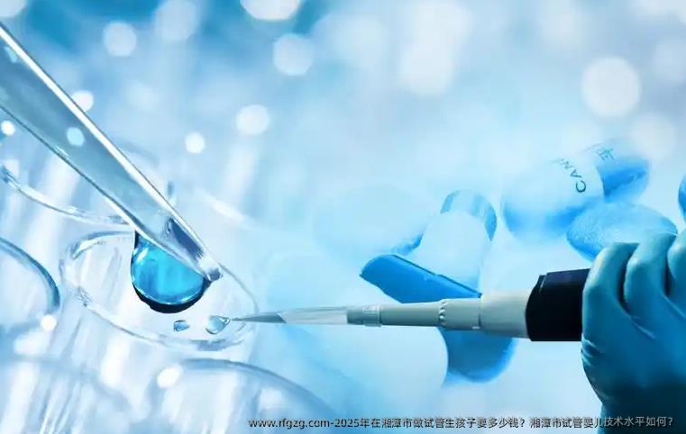 2025年在湘潭市做试管生孩子要多少钱？湘潭市代孕技术水平如何？