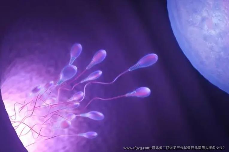 河北省二院做第三代代孕费用大概多少钱？