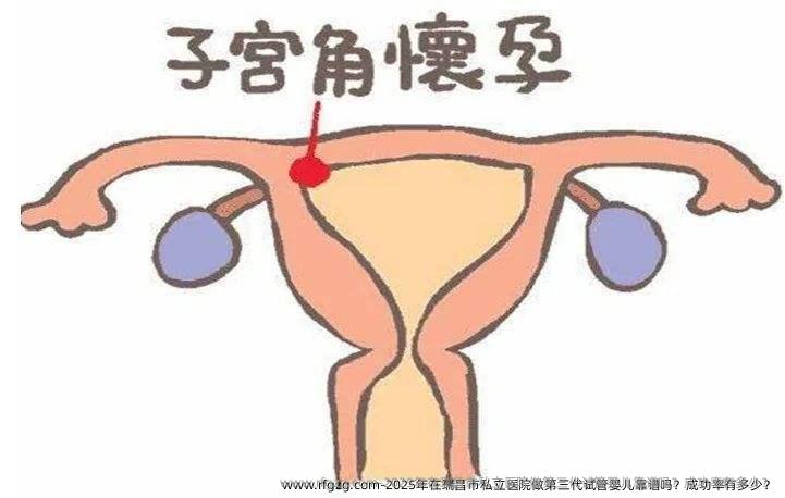 2025年在瑞昌市私立医院做第三代代孕靠谱吗？成功率有多少？