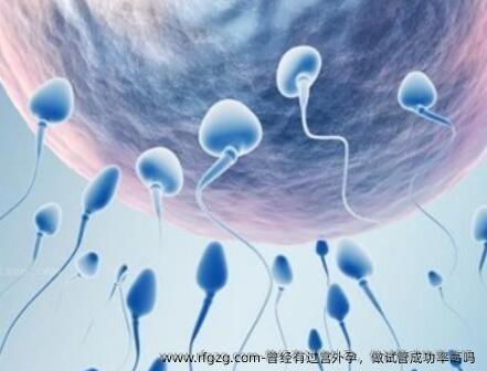 曾经有过宫外孕，做试管成功率高吗 