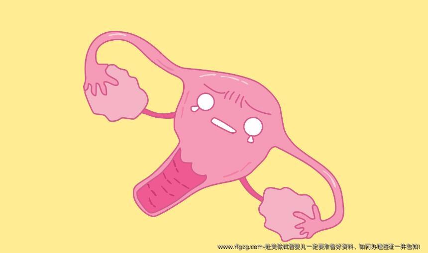 赴美做代孕一定要准备好资料，如何办理签证一并告知！