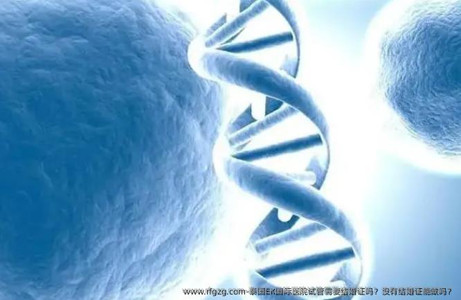 泰国EK国际医院试管需要结婚证吗？没有结婚证能做吗？