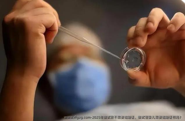 2025年做试管不需要结婚证，做代孕需要结婚证书吗？