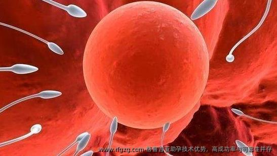 格鲁吉亚助孕技术优势，高成功率与可靠性并存