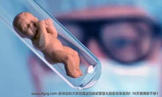 贵州医科大学附属医院做代孕的成功率高吗？10万费用够不够？