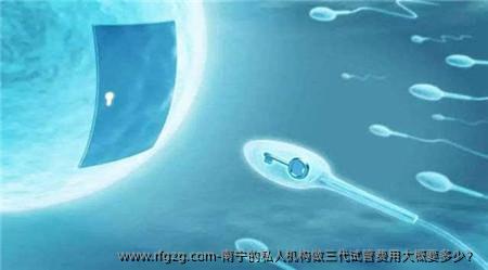 南宁的私人机构做三代试管费用大概要多少？