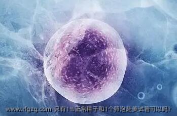 只有1%正常精子和1个卵泡赴美试管可以吗? 
