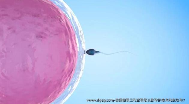 美国做第三代代孕助孕的成本和成功率？