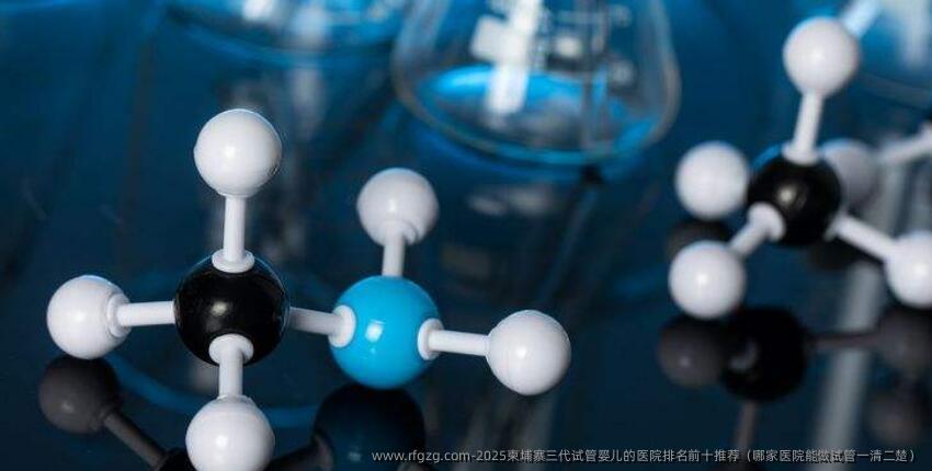 2025柬埔寨三代代孕的医院排名前十推荐（哪家医院能做试管一清二楚）