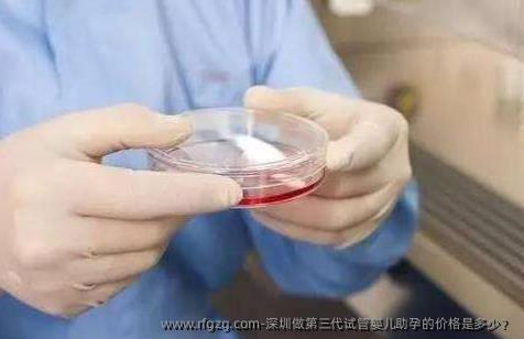 深圳做第三代代孕助孕的价格是多少？
