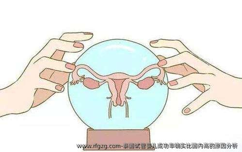 泰国代孕成功率确实比国内高的原因分析
