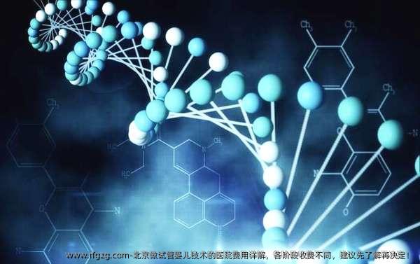 北京做代孕技术的医院费用详解，各阶段收费不同，建议先了解再决定！