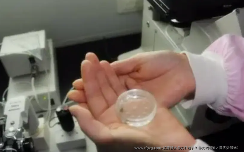 试管卵泡多大打夜针？多大的卵泡才算优势卵泡？ 