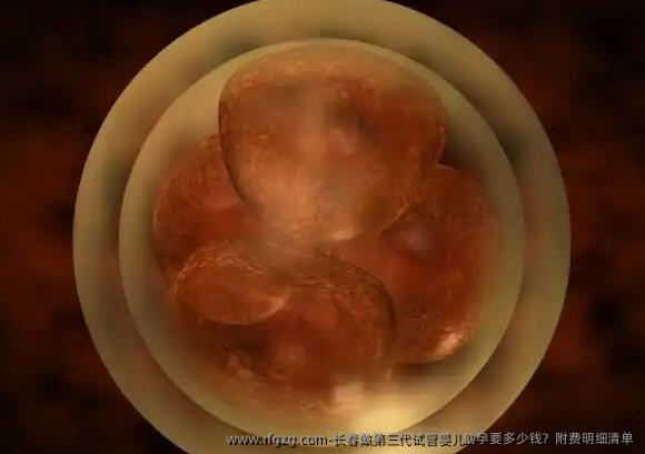 长春做第三代代孕助孕要多少钱？附费明细清单