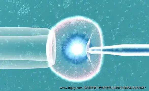 泰国做第三代代孕助孕生育成本及成功率？